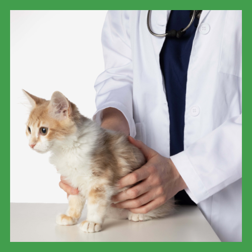 VETERINARY HPM Pet Food for Spayed Neutered Dogs Cats Virbac US